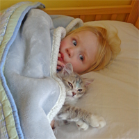 girl and her Siberian kitten under blanket