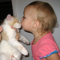 toddler kissing Siberian kitten