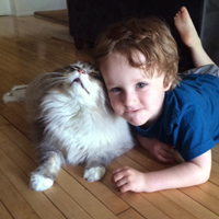 boy and his Siberian cat