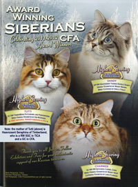 Heavnzsent Award-winning Siberians