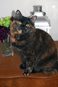 Anna the Siberian