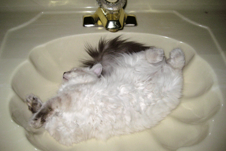 Hope in sink