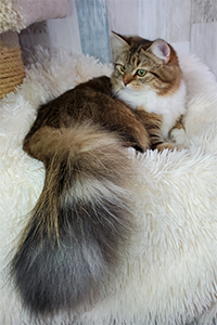 Nyla sitting