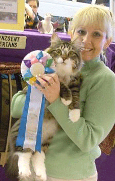 Raja the Siberian won best cat