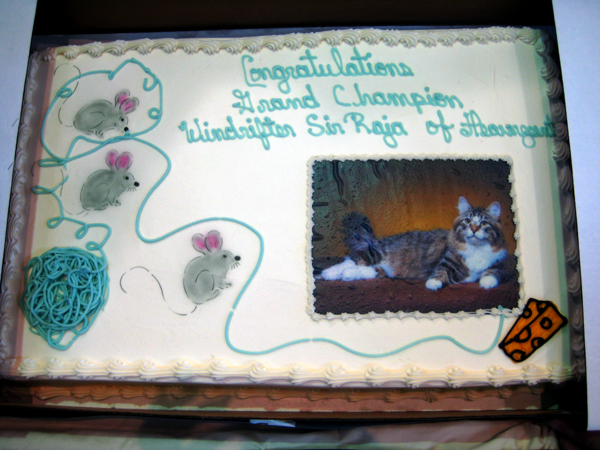 Cake to celebrate Raja's win