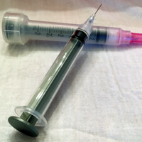 Siberian Kitten syringes